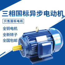 Three-phase asynchronous motor 380V national standard three-phase motor copper wire 750W~11KW High efficiency energy-saving motor