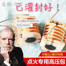  20KV high frequency high voltage transformer Ignition coil inverter fume purifier Negative ion generator