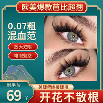 Europe and the United States Explosions 0 07 More Thick Grafted Eyelash Barbie Flowering One Second Mixed DD Carbon Black Charming Electric Eye