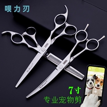 Professional Pet Beauty Scissors Suit Dog Sheared Hair Bending Scissors Teddy Dog Clippers Straight Cut Tooth Cut Dog Haircut Hair