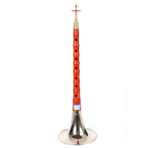 Rige Lighe Soprano suona D C cut to b tune LSN-521 Recital instrument D tone