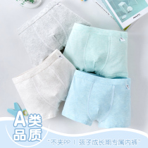 Babu bean childrens underwear cotton boy middle older boy boy cotton four-corner shorts flat corner 100% cotton