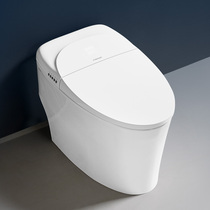 Faenza bathroom smart toilet household water pressure limit electric heating instant toilet F6