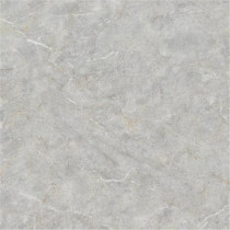 European Shenuo ELM14480S