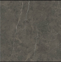 Dongpeng pao you zhuan CFG802374