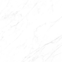 Ou Shen Nuo vitrified brick ELS03290S