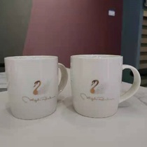 Seven Terri ceramic cup live room exclusive