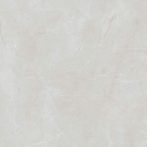 Shakespeare ash YNDQ-8DT106GR