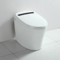 Gold medal sanitary ware RF3126Z smart toilet home Bijie shop