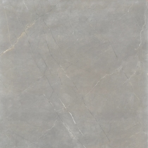 Dongpeng tile rough YG806205