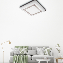 The Philips Pleasing the Ceiling Light Square 40W