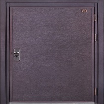 De Note steel door C025 home customized door door home security door
