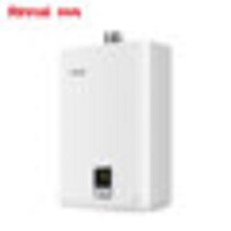 JSQ22-11QC01 of Gas Water Heater in Forest