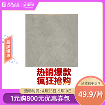  Marco Polo tile living room 800X800 Marble floor tile CH8230AS