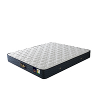 Suibao Ridge Mattress-Suiyue Rinjin Fashion Leather Bed