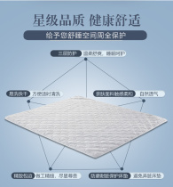 Serta cleaning pad