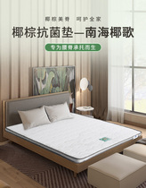 Skebao - South China Sea Coconut Song 5C 3D Coconut Brown