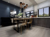 David flooring laminate flooring DWPT0088 natural impression