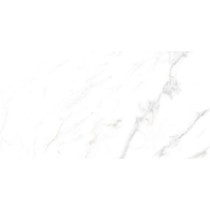 European Shenuo ELG01160120S