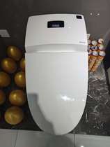 The all-in-one smart toilet for the EuroLiza.