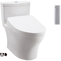 An intelligent combination toilet
