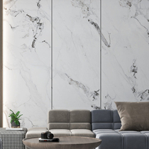 Crown Bead Tiles Large Plate Tile Series Ground Tile through body Full porcelain sturdy and durable 800 * 2600