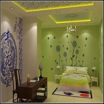 Haoerbao air purification inorganic coating Wall Wall material