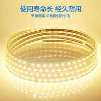 Thunder Light Lamp With Led Living Room Ceiling Super Bright Patch 505450 Light With 220v