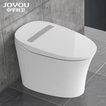 54040 Toilet