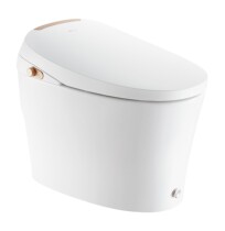 Dongpeng Intelligent toilet integrated molding full function heating cleaning and drying and deodorizing feet kick flush W8351