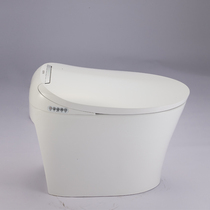 Huida Smart Toilet Fully Automatic Integrated Toilet Siphon Household HDE3002 Incredibly Home