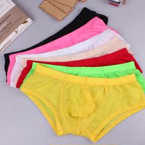 Bandas mens underwear ice silk boxer pants middle waist transparent breathable quick-drying sexy nylon fabric solid color couple