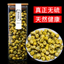 Chrysanthemum tea fetal chrysanthemum Zhejiang authentic Tongxiang Hangzhou white chrysanthemum special herbal tea grade small fetal chrysanthemum brewing water canned King
