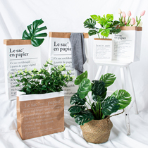  ins kraft paper bag Net red Nordic cold wind photo props clothing background set decoration green plant storage bag