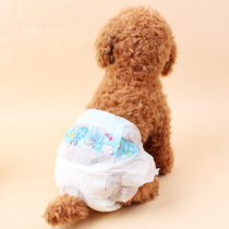 Dog diapers Pet cat rabbit diapers Teddy puppy disposable physiological pants Aunt pants Safety pants