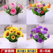 (with basin) emulated flower pendulum piece living-room furnishing plastic flower fake flower small potted room to decorate flower dry flower suit