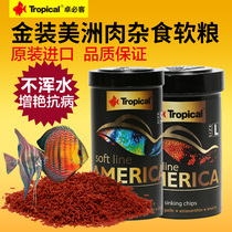 Zhuo Bike Zhuo Bick South America Golden Soft Grain African Meat Three Lakes Cichlid Thunder Dragon Colorful God Egyptian Fish Food