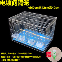 Galvanized parrot breeding bird cage partition Bold breeding tiger skin peony Xuanfeng matching cage double room