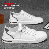 Bulls family Mens shoes Summer slim Breathable 100 Hitch Casual White Color Palette Shoes Man Europe Station A Foot Pedal Little White Shoes