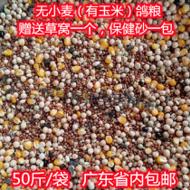 No wheat pigeon grain 50 kilograms of dove grain Guangdong bird food letter dove meat dove free from postal feed race pigeon meat dove