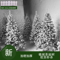 Christmas Christmas tree White flocking 1 5 meters 1 8 meters 2 1 meters 3 meters simulation Cedar snow scene ice sculpture decoration