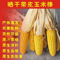  Dried corn cobs red pepper skewers corn skewers simulation garlic skewers farmhouse tourist attractions decoration really spicy skewers