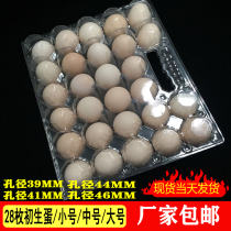 Disposable egg tray portable 28 medium egg packing box thick plastic egg tray packing box