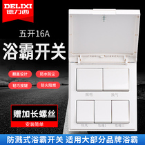 Delixi Yuba switch panel five-open flip cover universal bathroom waterproof five-in-one toilet air heating switch