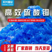 Crystal swimming pool copper sulfate algae remover Fruit tree aquatic electroplating sterilization algae remover Moss blue alum powder Agricultural