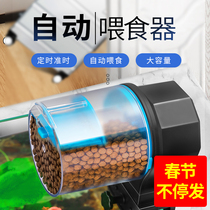 Automatic feeder small timing feeding device feeding artifact turtle goldfish fish tank fish feeder