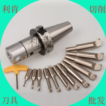 Taiwan Shibang STANNY boring NBH2084 fine-tuning boring cutter set MT NT R8 SK BT
