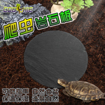 Reptile lizard food basin Nail grinding rock plate tortoise slate cushion Reptile box cushion Landscaping decoration Moisturizing insulation