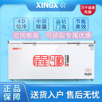 XINGX Xingxing BD BC-518G 718G commercial horizontal single temperature freezer freezer large capacity freezer