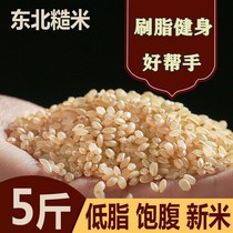 Food Lunch Nutrition Dinner Weight Loss Color Brown Rice 357 Weight Loss Miter Price Coarse Grain Fat Reduction Staple Food Satiety